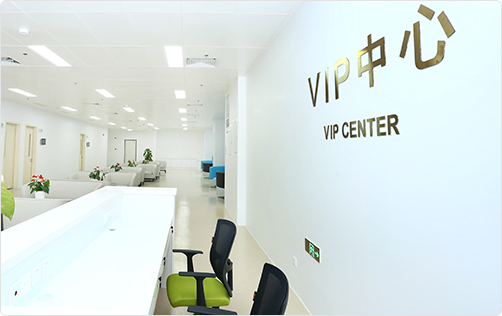 VIP環境