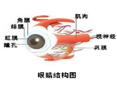 視神經萎縮
